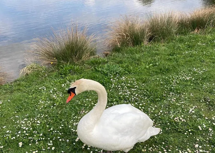 Cocon Neuf Entre Et Campagne 4pers Parking Prive Villers-sur-Mer
