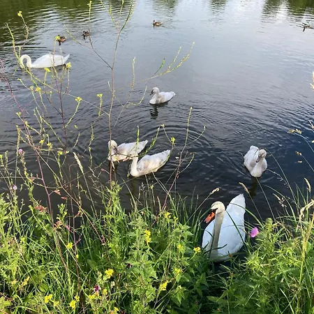 Appartamento Cocon Neuf Entre Et Campagne 4pers Parking Privé *