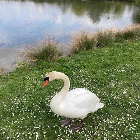 Cocon Neuf Entre Et Campagne 4pers Parking Prive ヴィレ・シュル・メール