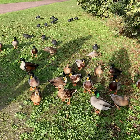 Cocon Neuf Entre Et Campagne 4pers Parking Prive *