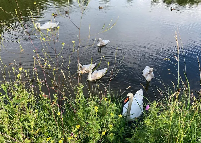 公寓 Cocon Neuf Entre Et Campagne 4pers Parking Prive *