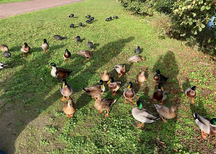 Cocon Neuf Entre Et Campagne 4pers Parking Prive *